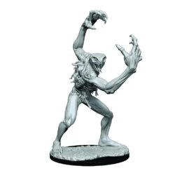 Aeorian Nullifier - Critical Role Unpainted Miniatures