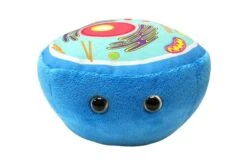 Animal Cell Plush - Giant Microbes