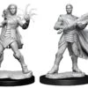 Magic The Gathering Miniatures: Rowan And Will Kenrith (Fighter, Wizard) -Atomicempire Outlet 030325142626 big