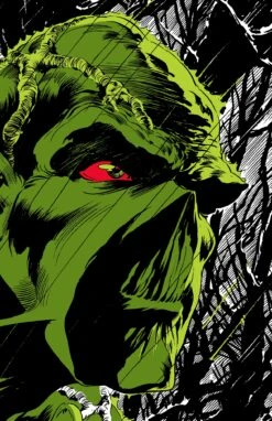 Absolute Swamp Thing By Len Wein And Bernie Wrightson HC