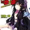 High School DxD Light Novel Vol 11 -Atomicempire Outlet 033127056267 big