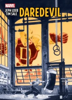 Jeph Loeb And Tim Sale: Daredevil Gallery Edition HC