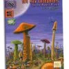 Purple Planet Adventure: 101 Hex Encounters - Dungeon Crawl Classics RPG -Atomicempire Outlet 035620991624 big