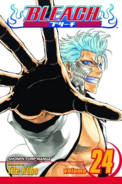 Bleach Vol 24